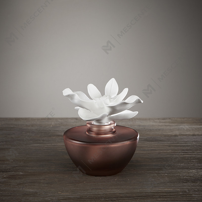 White Flower Mini Parfém Aroma Reed Diffuser Oil, vůně Thailand Reed Difuzory Dárková sada